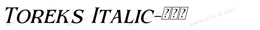 Toreks Italic字体转换